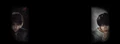 Thumbnail for version as of 05:27, January 4, 2011