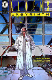 Aliens labyrinth1