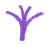 Kalgor rune