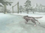 Snowpeak Beta