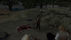 Rdr burning04