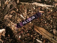 PLL1