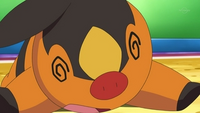 EP675 Tepig debilitado