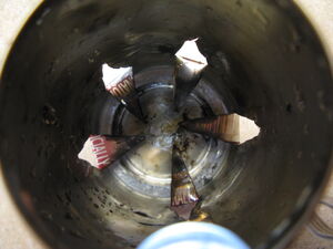 IMG 5516