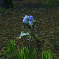 AshenvaleScout.jpg
