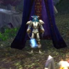 Protector Endolar