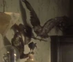 Akaali birds 1.jpg