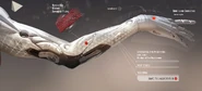 CyberneticArmProsthesis