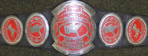 Ovw Championship