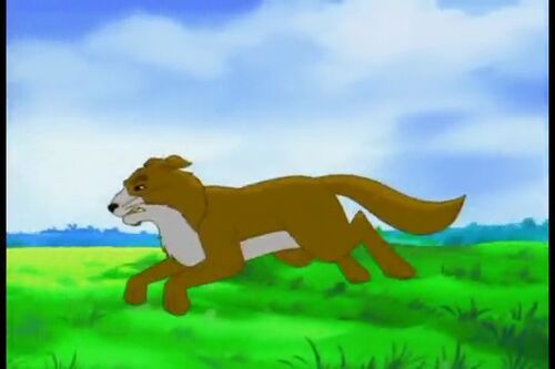 Watership Down