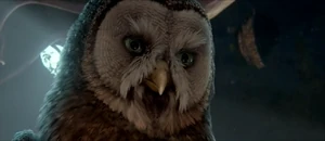 AllomereOwlsofGahooleCap