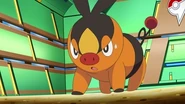 EP676 Tepig cansado