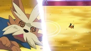 EP676 Herdier debilitado