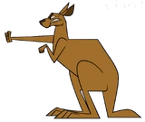Kangaroo-2