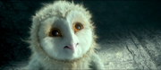 EglantineOwlsofGahoole