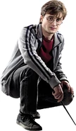 HarryPotter DH1 Wallart01