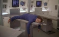 Phlox still sleeping.jpg