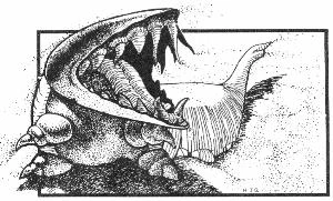 Sand Shark.jpg