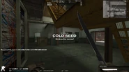 Bowie Knife