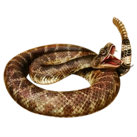 Huge item rattler 01.png