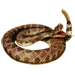 Rattler