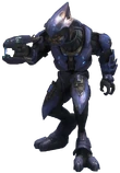 Reach elite minor render