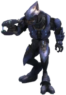 Reach elite minor render