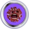 Badge-615-4