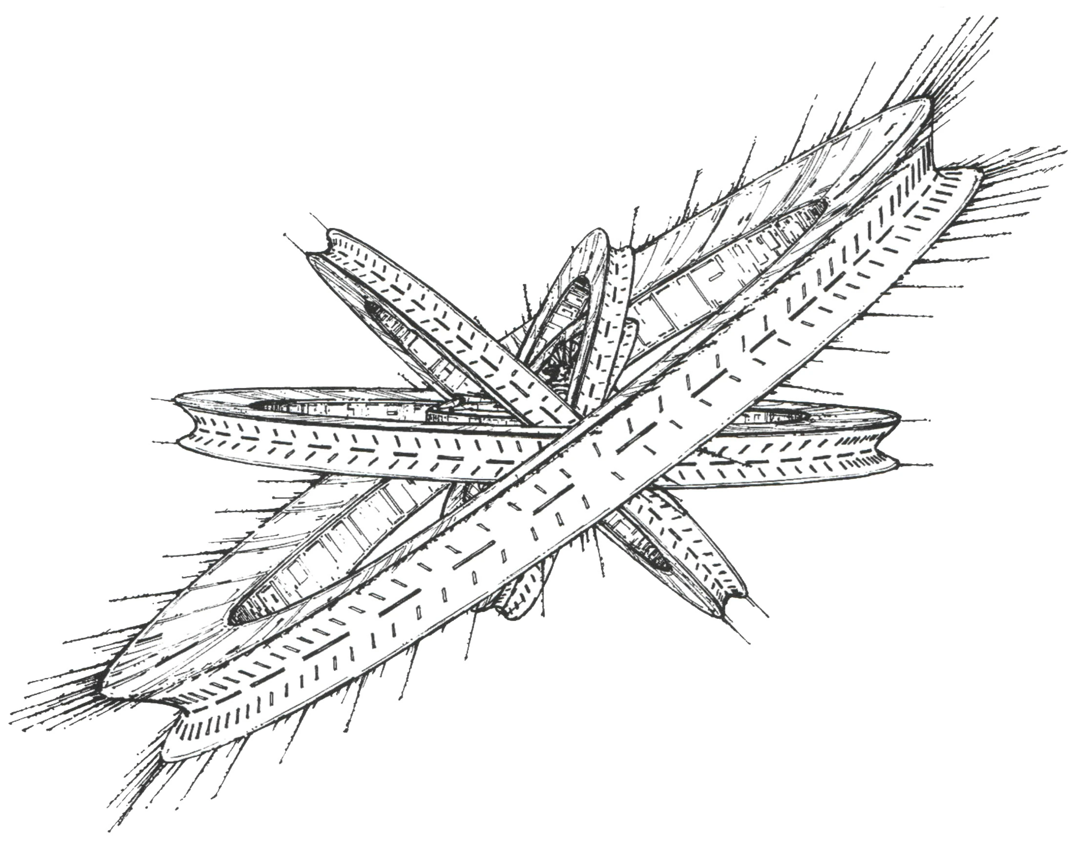 Angelhalo