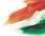Indian flag