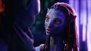 Sow-avatar.1080p 7779