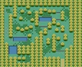 Berry Forest.png