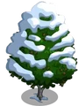 Red Alder8-icon