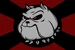 Hooligan Flag2