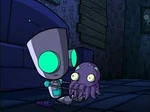 Squi