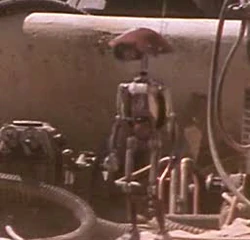 DUM-4.jpg