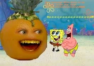 Images 4