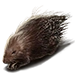 Item italianporcupine 01