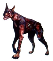 Cerberus.jpg