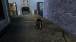 SightingSuperman1