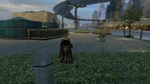 SightingMetallo1