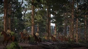 Rdr us army