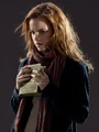 Hermione beedle 2.jpg