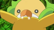 EP678 Sewaddle usando bug bite
