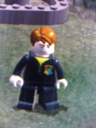 Draon taskdiggory