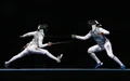 Fencing 1.jpg