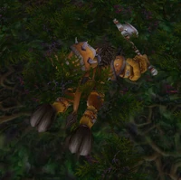 Image of Wounded Mor'shan Defender