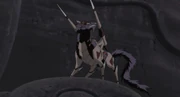 Ni's Dogs