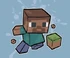 Mr minecraft