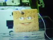 Graham Cracker
